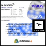 Blackbird EA + SetFiles (MT4 )